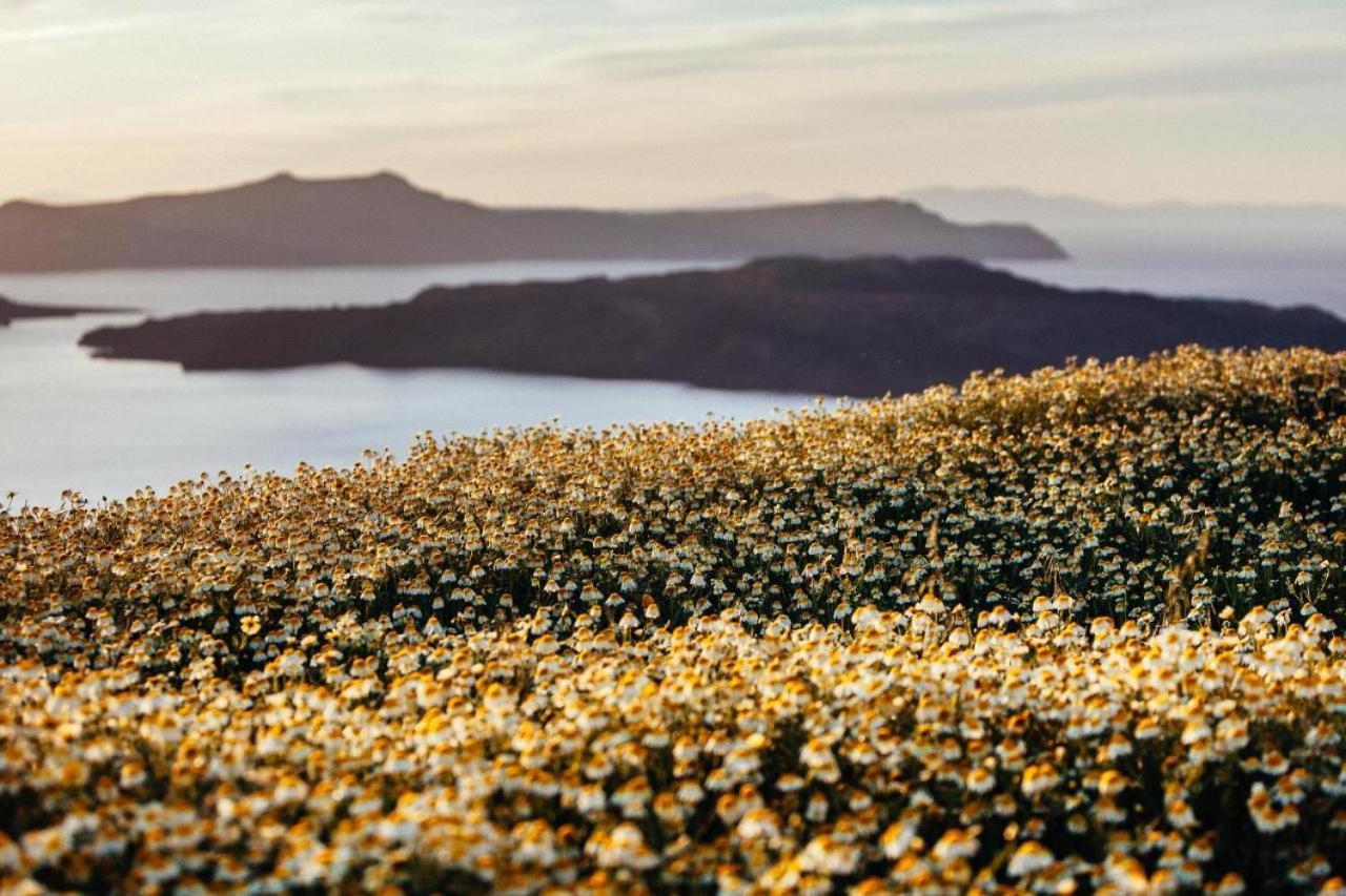 Arcana Santorini Villas, An Authentic Cycladic Experience Akrotírion 外观 照片