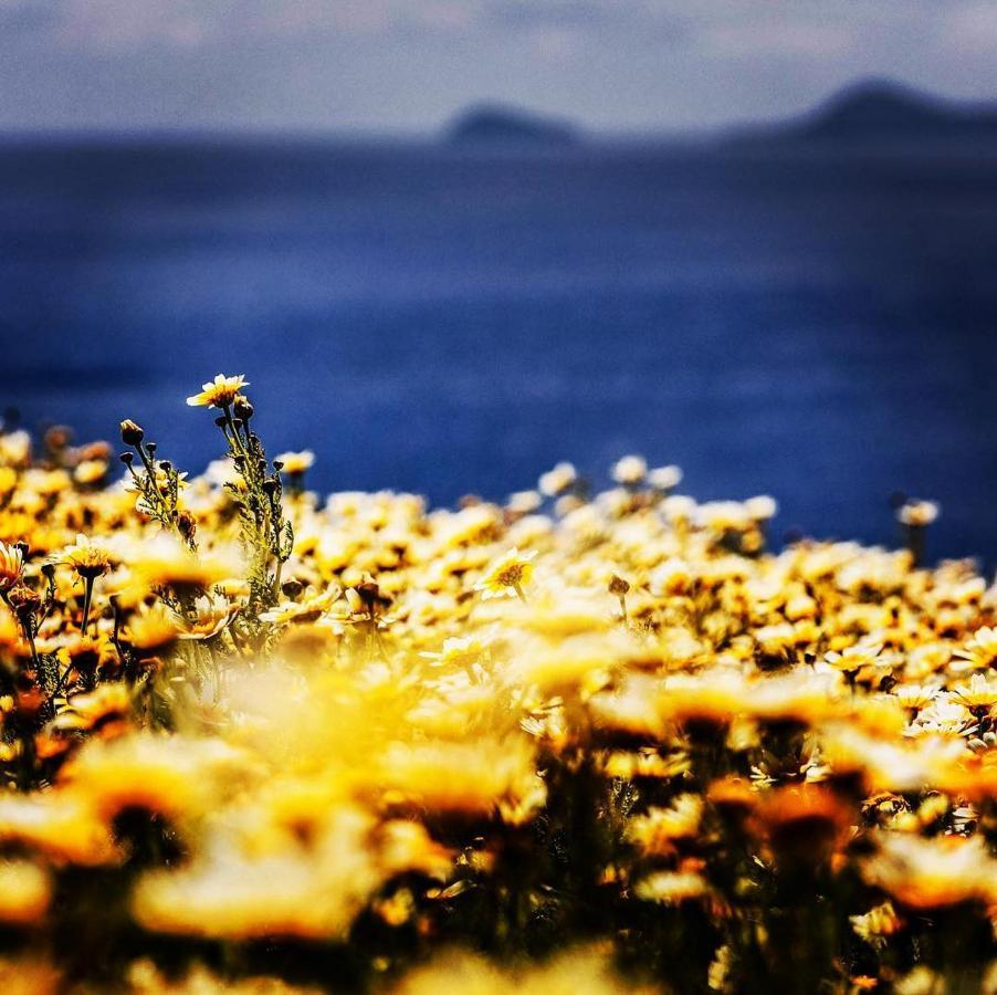 Arcana Santorini Villas, An Authentic Cycladic Experience Akrotírion 外观 照片