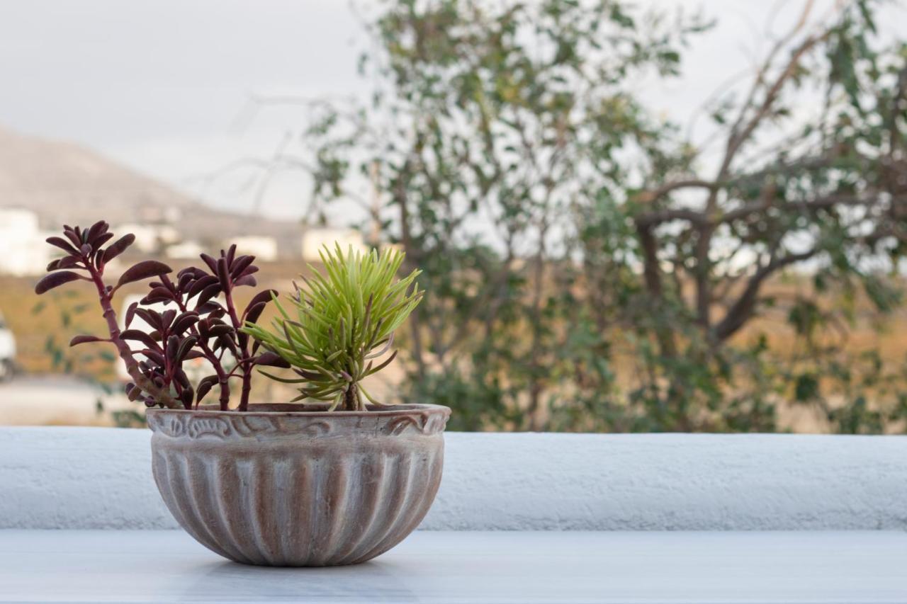 Arcana Santorini Villas, An Authentic Cycladic Experience Akrotírion 外观 照片